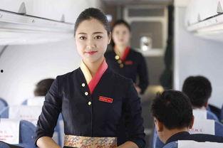 空乘评论区吃瓜,评论区吃瓜背后的故事与真相