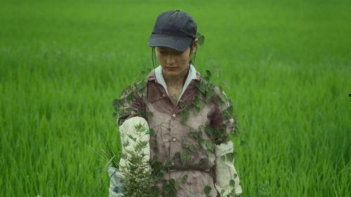 小森林预告吃瓜