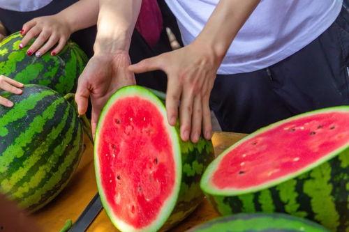 北京民航大学吃瓜,揭秘校园生活趣味瞬间