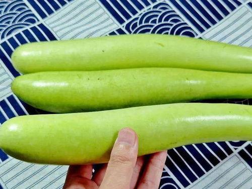 9一吃瓜,揭秘娱乐圈那些不为人知的幕后故事