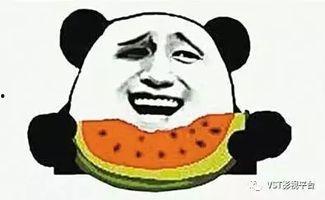 大小胖吃瓜,揭秘娱乐圈那些不为人知的幕后故事