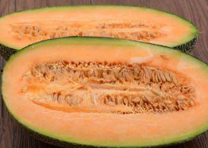 吃鱿鱼可以吃哈密瓜吗,不可思议的美食搭配探索