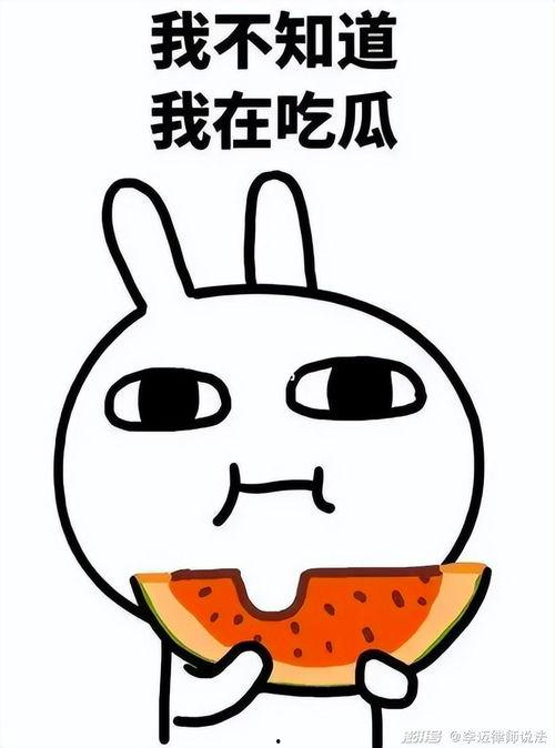 吃瓜的牛马,揭秘娱乐圈背后的真实故事