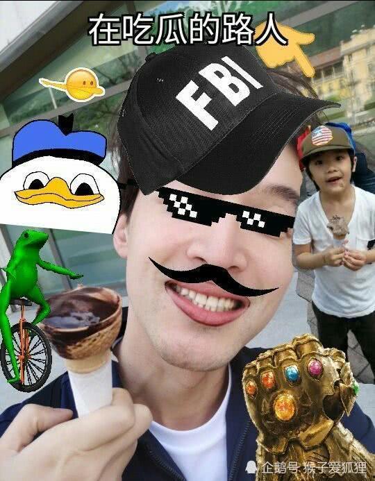 吃瓜企鹅,揭秘动物界的“网红”现象