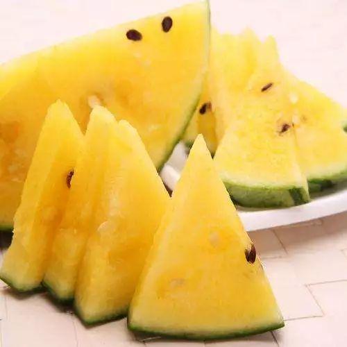 地肖瓜怎么吃,解锁美味新体验