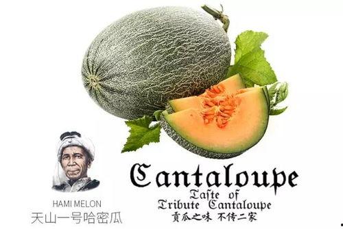 吃瓜88号,网络红人的崛起之路