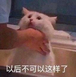 吃瓜爆料朝阳群众,朝阳群众吃瓜爆料背后的故事