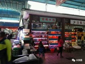 广州天河吃瓜群,吃瓜群里的烟火气与人间百态