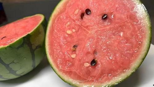 可以吃瓤的瓜,解锁可食瓤瓜果的甜蜜奥秘