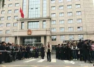 法院吃瓜,吃瓜群众揭秘司法大案背后的故事