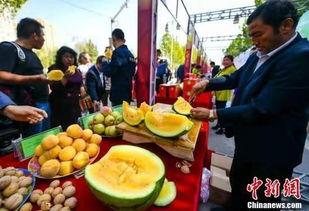 盐城最近吃瓜新闻,一场意想不到的社区风波