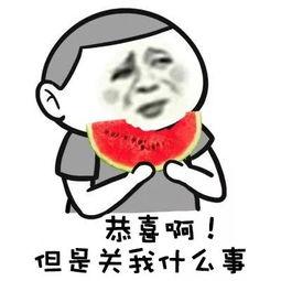 吃瓜群众瓜哥熊猫视频,揭秘网红美食背后的故事