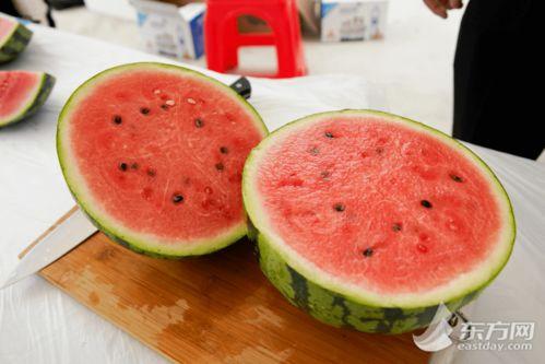 上海荣宝斋吃瓜,品味传统与现代交融的瓜果盛宴