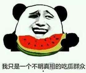 吃瓜用韩语怎么解释,揭秘韩语中的“吃瓜”文化