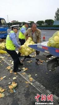 河南交警吃瓜群众,揭秘交通执法背后的故事