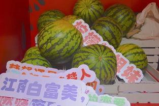 保定公园吃瓜,街头巷尾的清凉一夏