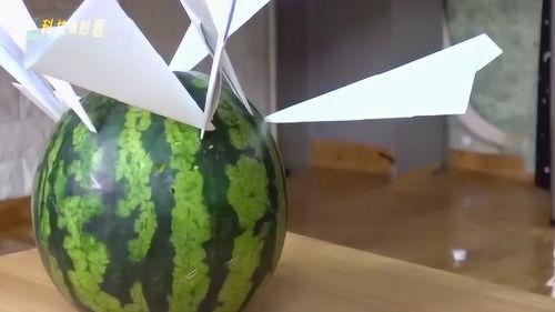 纸飞机吃瓜,一场别开生面的夏日盛宴