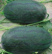 山东日照吃瓜视频后续