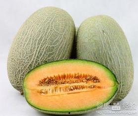 梦里吃哈密瓜,一场与哈密瓜的甜蜜邂逅
