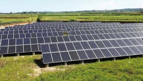 河北光伏吃瓜,绿色能源的“吃瓜”现象解析