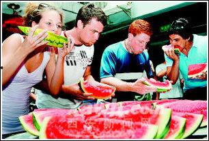 古城吃瓜大赛,吃瓜大赛欢乐盛宴