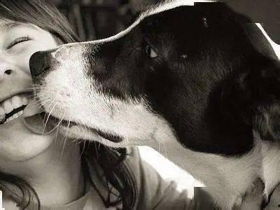 理性吃瓜有必要舔狗吗,探讨舔狗现象的必要性与利弊