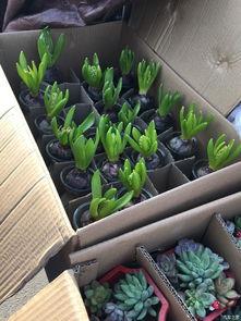 女神节吃瓜,揭秘娱乐圈那些不为人知的幕后故事