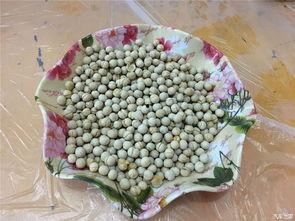 吃51瓜最新,娱乐圈最新热点事件深度剖析