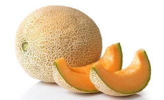 哈密瓜嫁接后几天可以吃