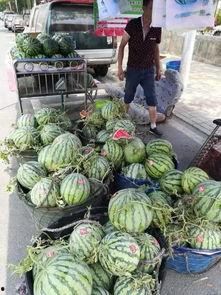 增城新塘吃瓜事件