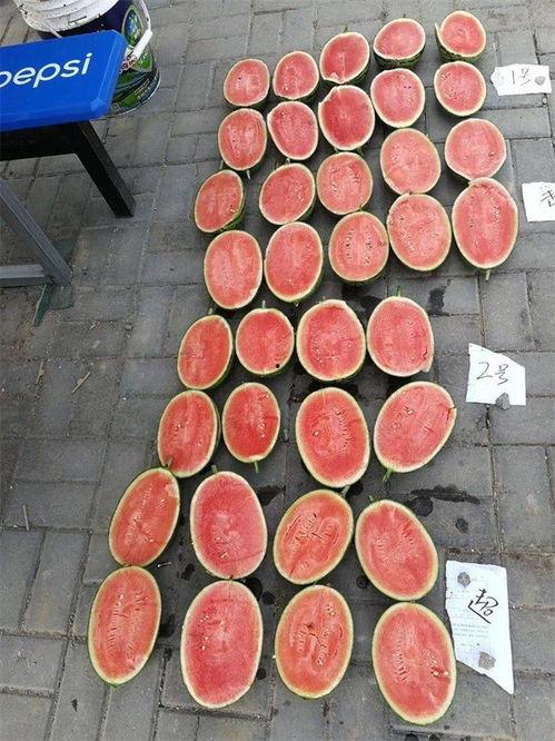 瓜园吃西瓜图片,夏日西瓜的甜蜜诱惑