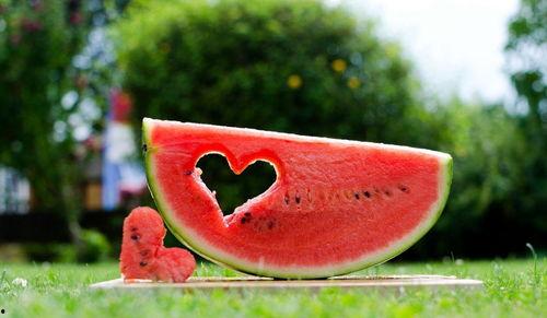 继续吃瓜的诗句,继续吃瓜，品味诗意人生