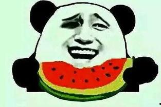 吃瓜河北老师,一场网络爆红的背后