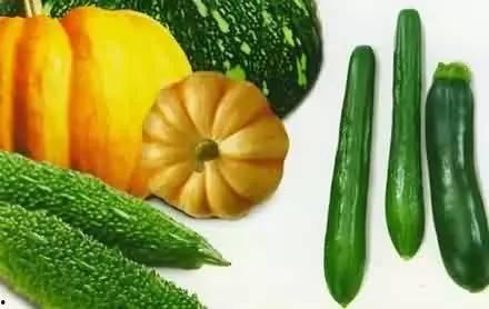 夏季吃瓜养生指南,瓜果飘香解渴攻略